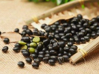 黑豆