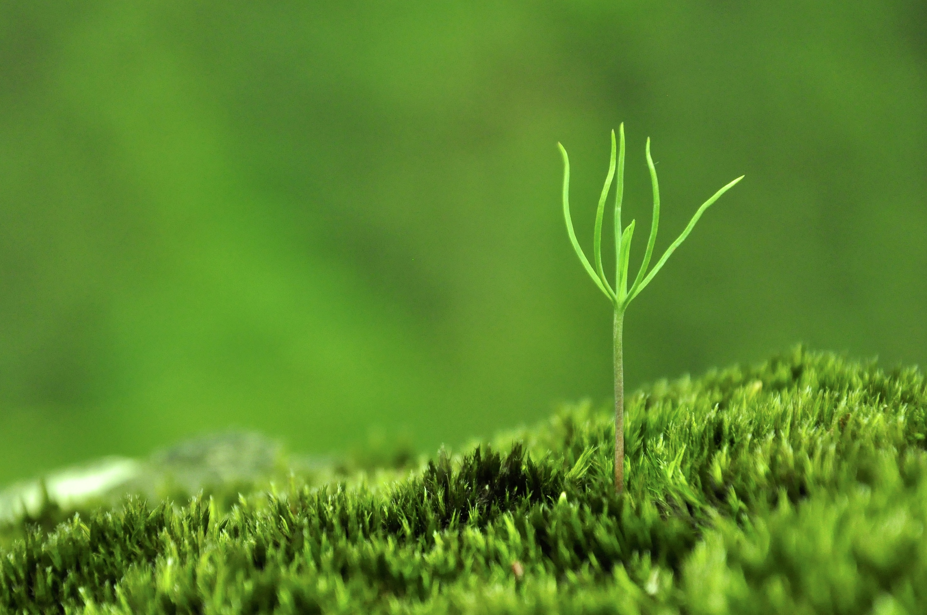 春季养生不是只有养肝